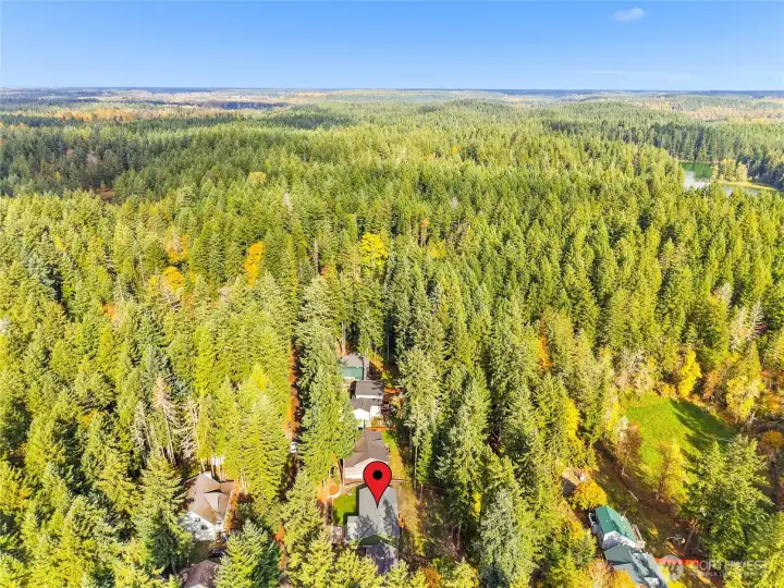 Nestled among mature trees—this home offers privacy and tranquility in Clearwood.