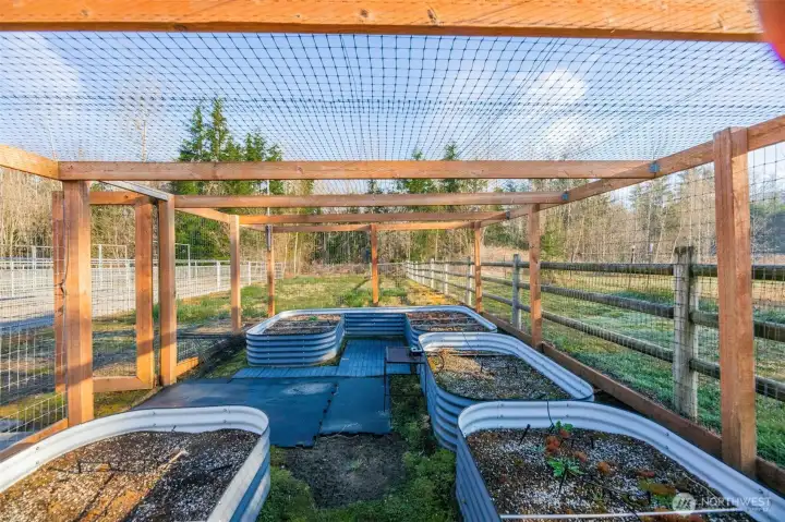 Garden beds in fully fenced yard