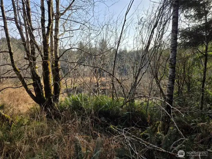 A portion of the pond is located in the property’s southeast corner.