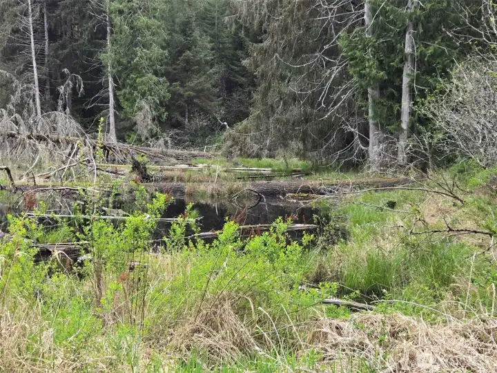 A portion of a pond is located in the southeast corner of the property.