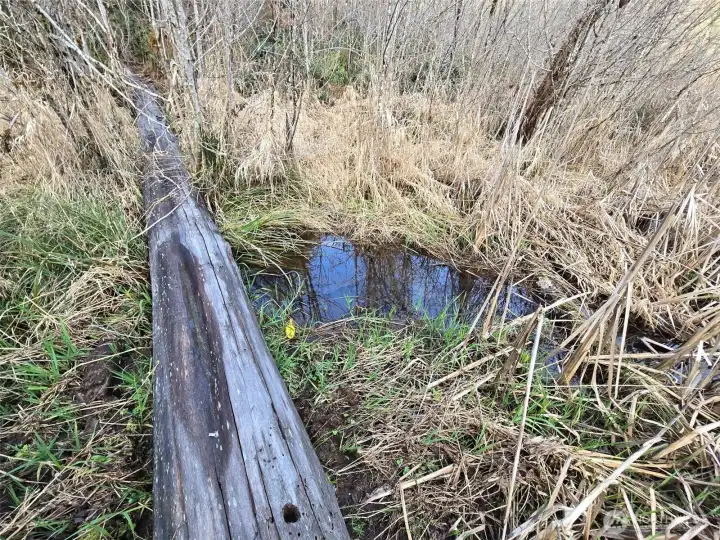 A fish creek runs along Workman Creek Branch Road.