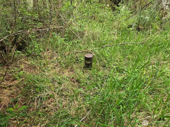A drilled well is located on the property.