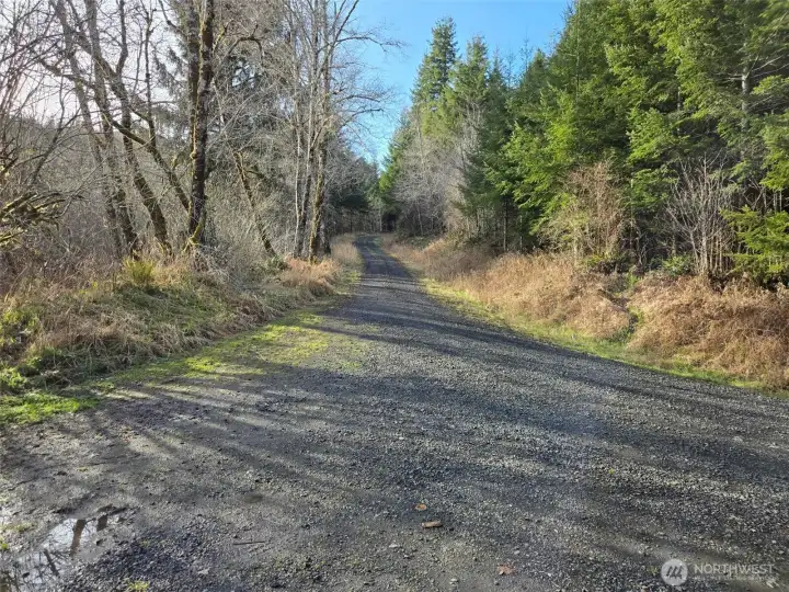 Workman Creek Branch Road