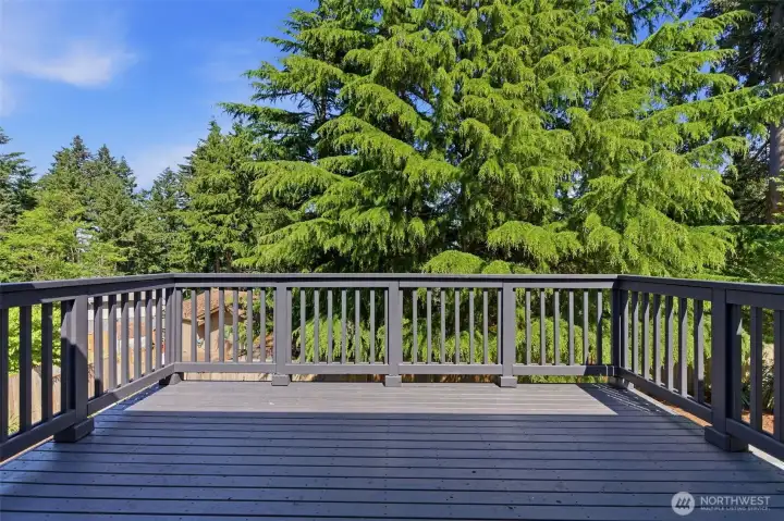 Deck on upper level