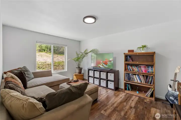 Media/rec room