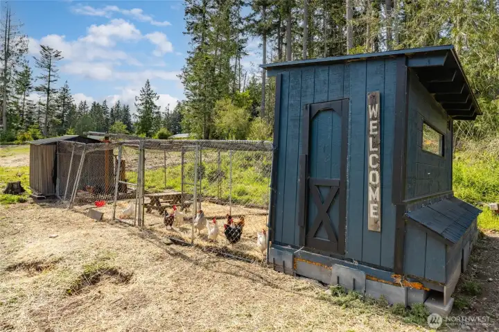 Chickens and goats??