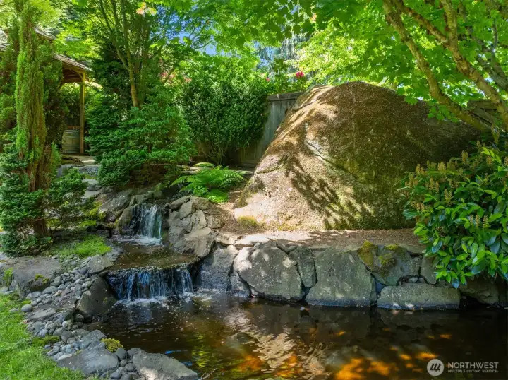 Waterfall feature with goldfish. Perfectly peaceful to listen to out the window.