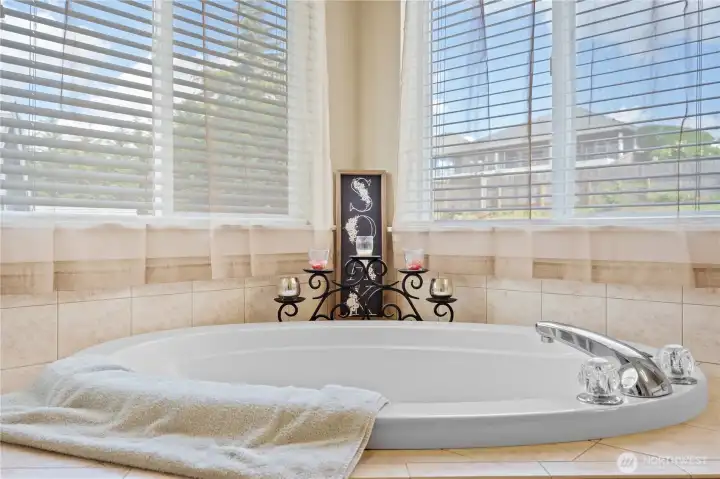 Primary Bathroom Soaking Tub is so luxurious!