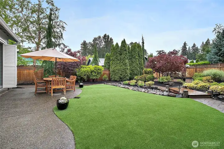 Large back yard with turf.