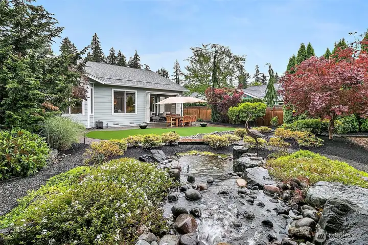 Back yard water feature.