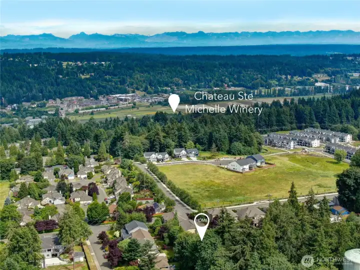 BONUS: Located just steps from Chateau Ste. Michelle Winery and Summer concerts! BONUS: Located just steps from Chateau Ste. Michelle Winery and Summer concerts!