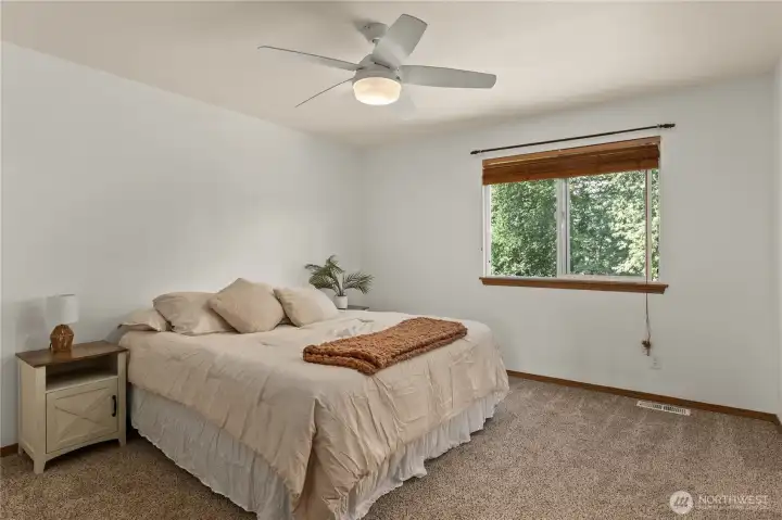 Master bedroom, window facing backyard, new carpet Master bedroom, window facing backyard, new carpet