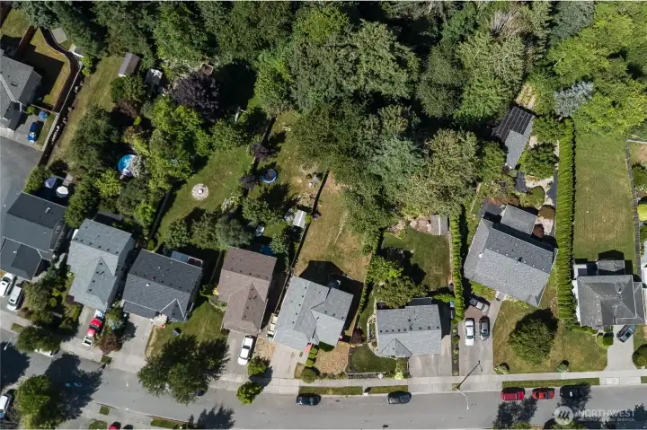 Wooded backyard, no rear neighbors Wooded backyard, no rear neighbors