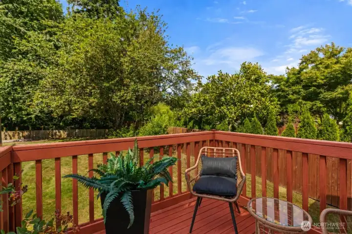 Fresh painted back deck Fresh painted back deck