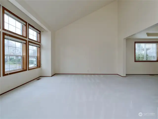 Living Room with Soaring Ceilings