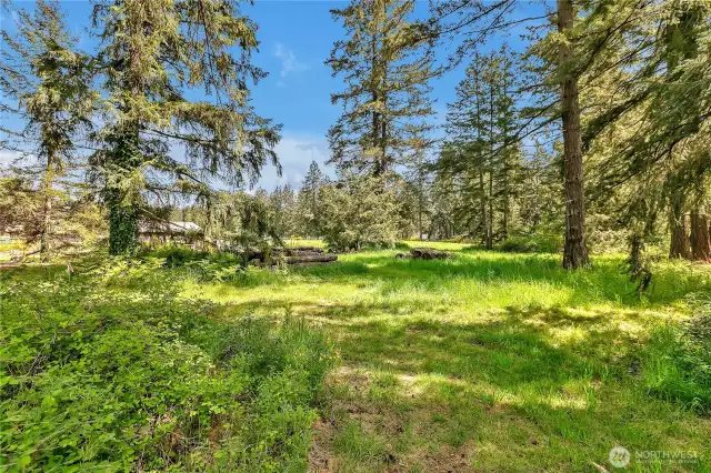 Lets take a walk continuing at the back of the 1 acre parcel going counter clock wise around the property