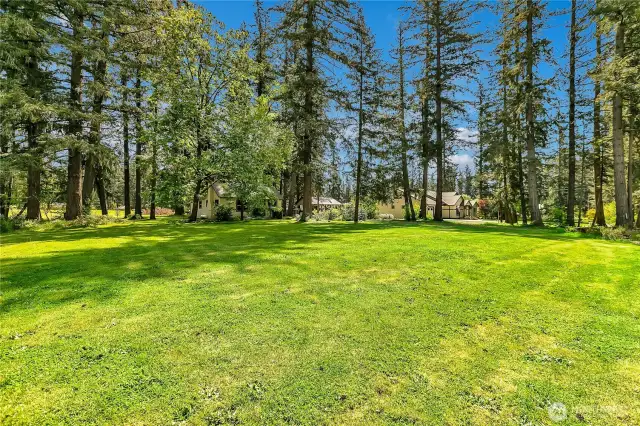 The front Yard from near the North West corner of the property at street.