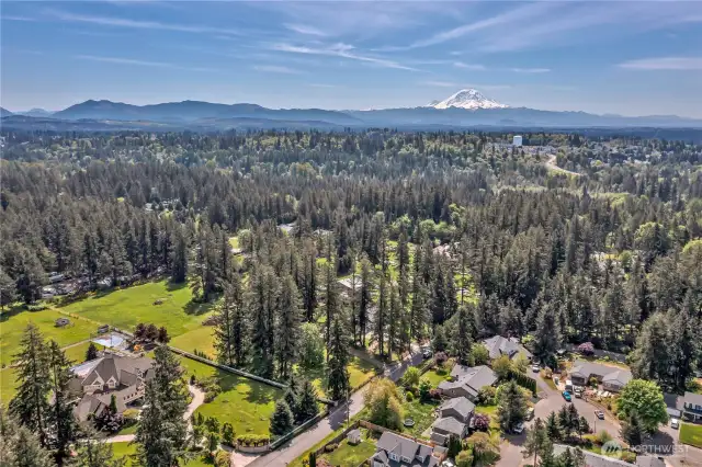 Drone shot of Mount Rainier. Property in lower center of Pic