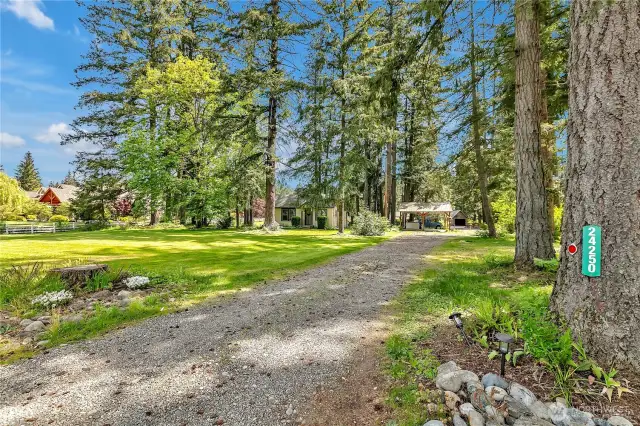 Driveway to house.