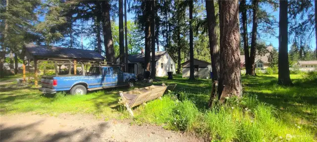 Behind carport looking toward storage shed