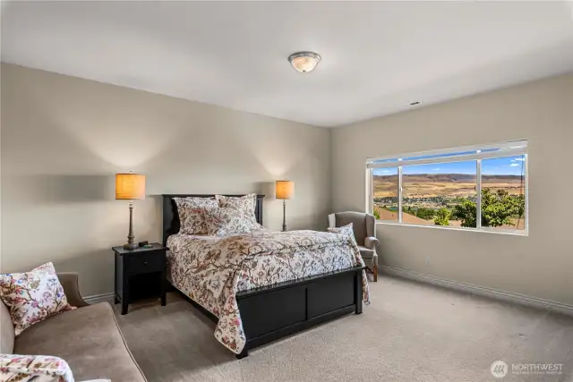 3rd Bedroom on lower level.