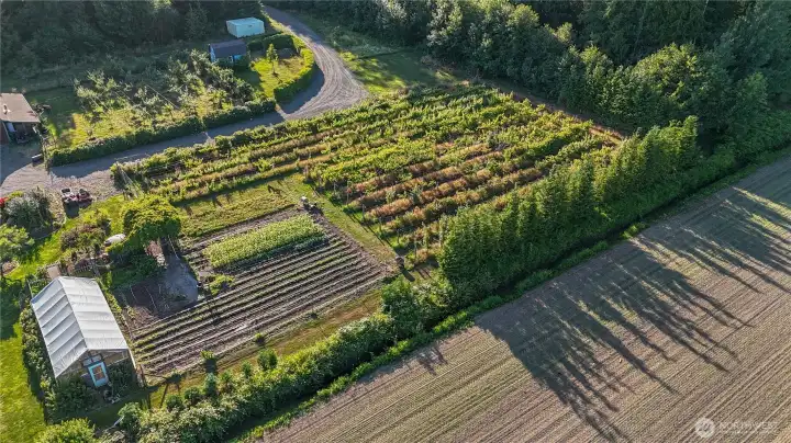 Farm-to-table living starts here, just steps from the orchard.