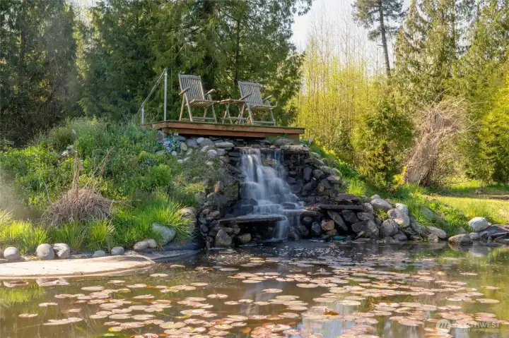 Scenic pond offering reflection and seasonal beauty.