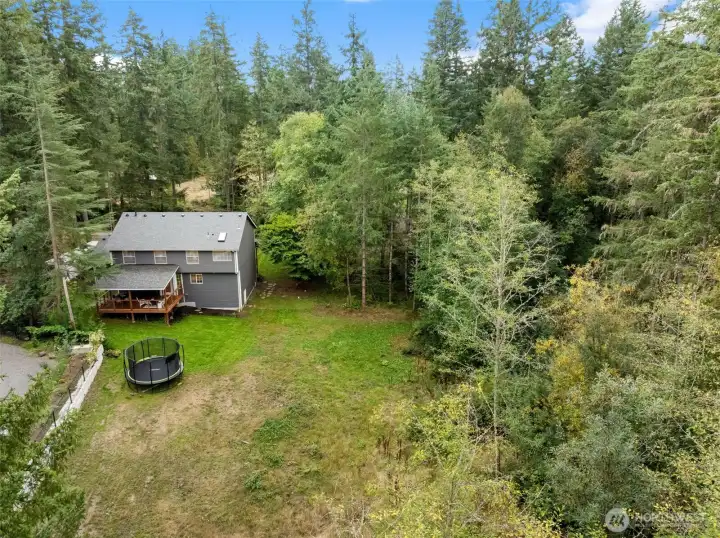 Large backyard