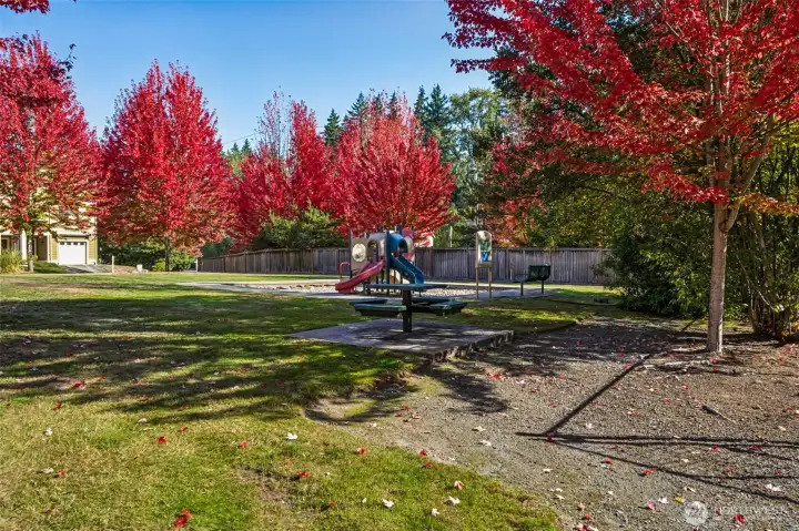Community park directly in front of home