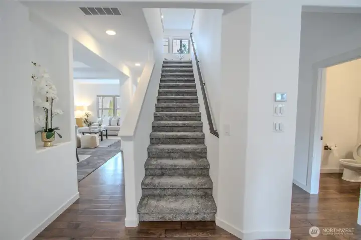 Entry & Stairway View: