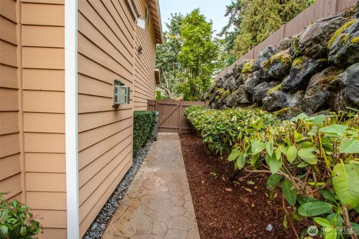 Side yard (stone walkway & bushes)