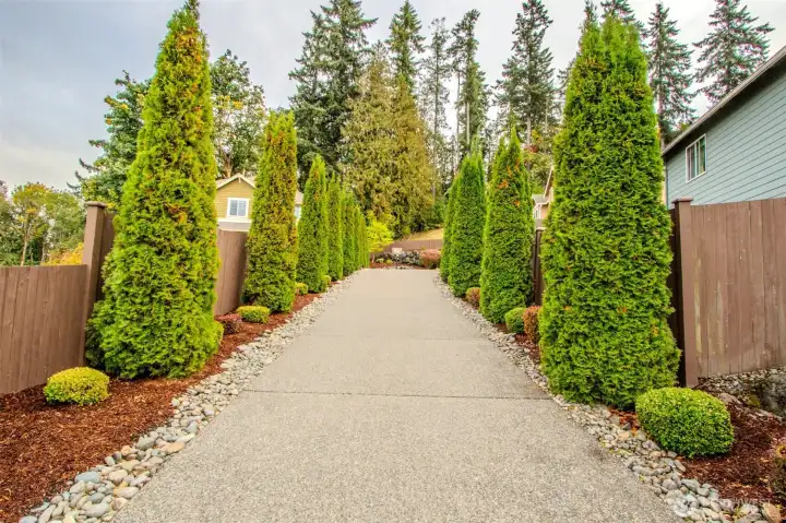 Driveway & Entry Path: