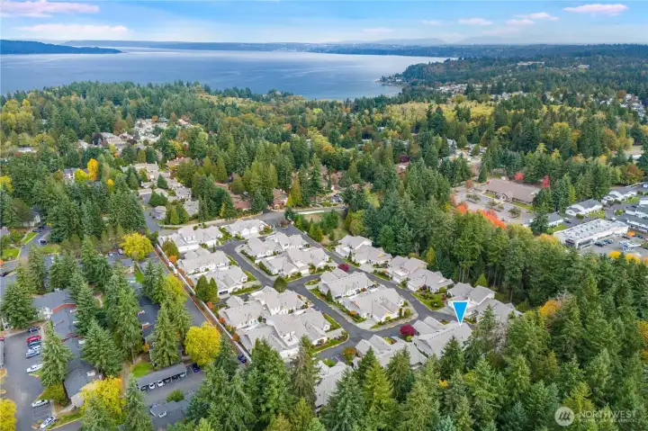 The Palisades at Dash Point is a quiet, well-kept community of residences located near the sea breezes and epic views of the Puget Sound.