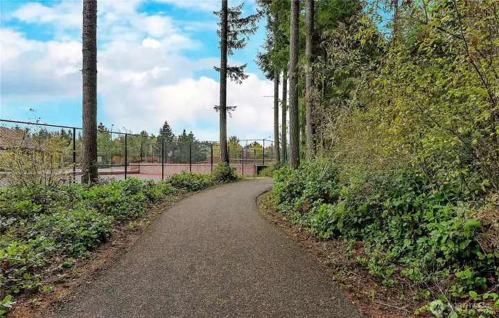 This wonderful trail leads to the Sound and community beach.