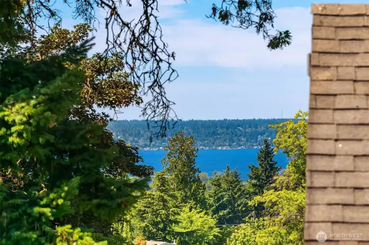 Views from the primary bedroom