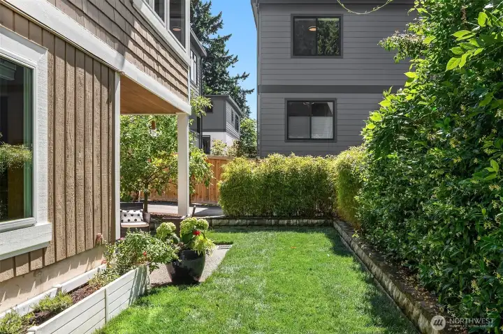 Grassy yard area