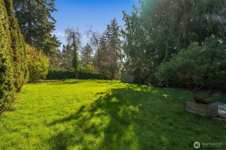 Huge flat back yard