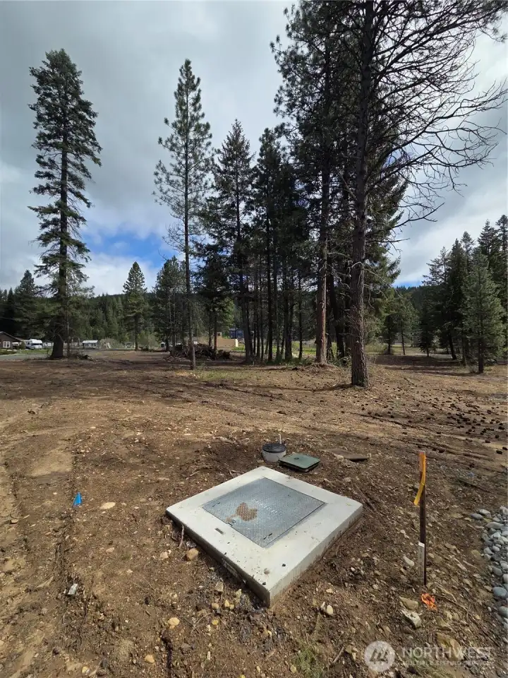 Survey stakes clearly marked