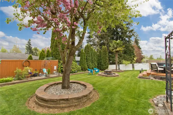 Beautiful fenced back yard