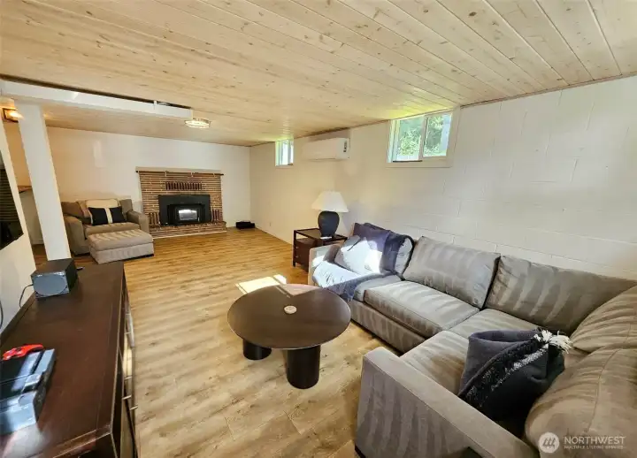 Lower level Family room