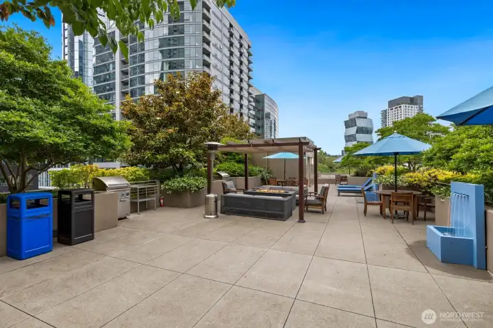 Rooftop Terrace w/BBQ &  Fire Table