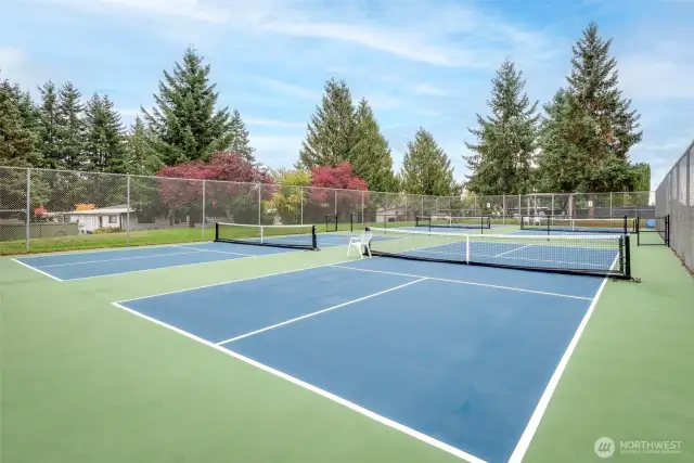 Pickleball