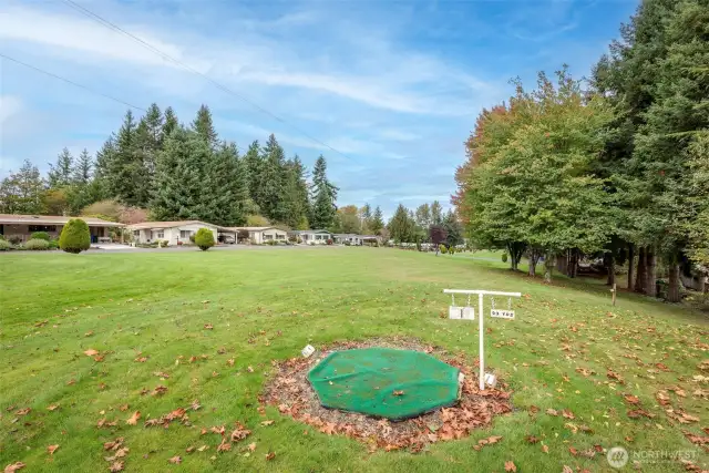 pitch and putt