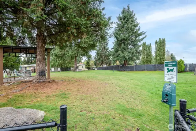fenced dog park