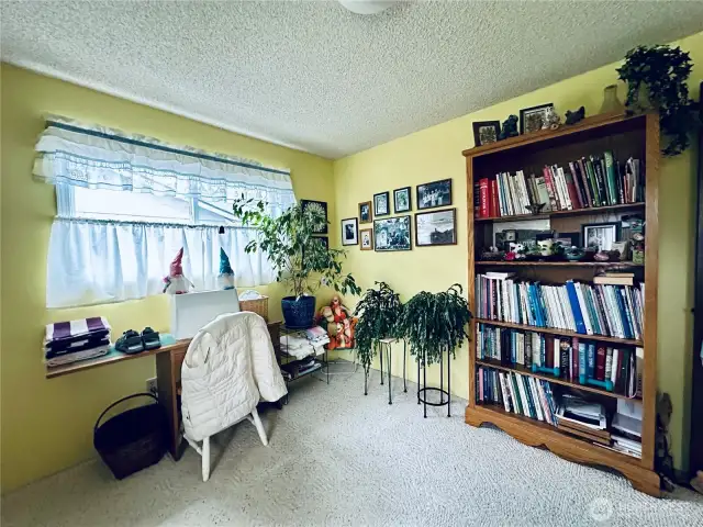 Downstairs bedroom