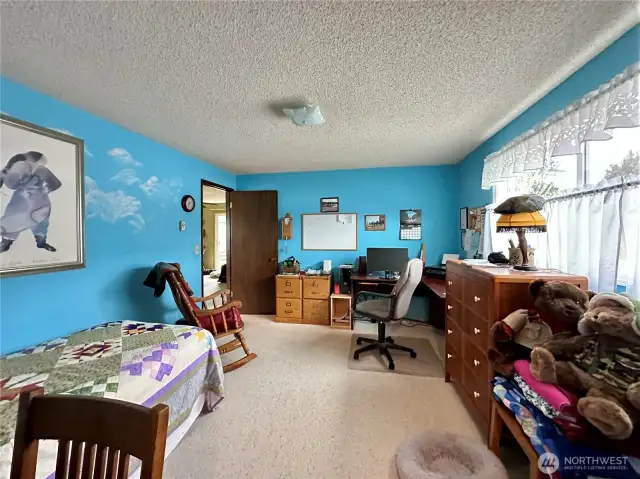 Downstairs bedroom with walk-in closet