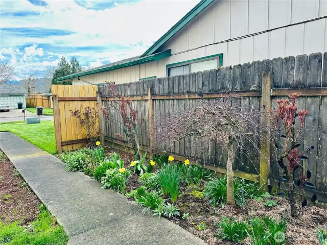 Gated side yard.