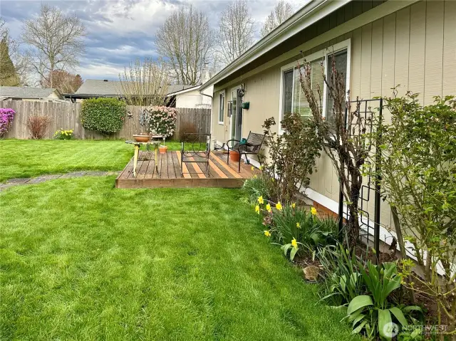 Backyard with walk ways to shed with 220v