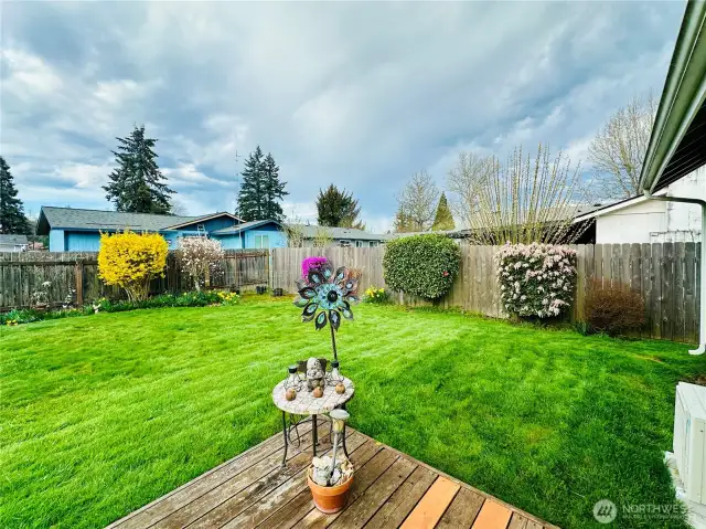 Backyard view from deck.