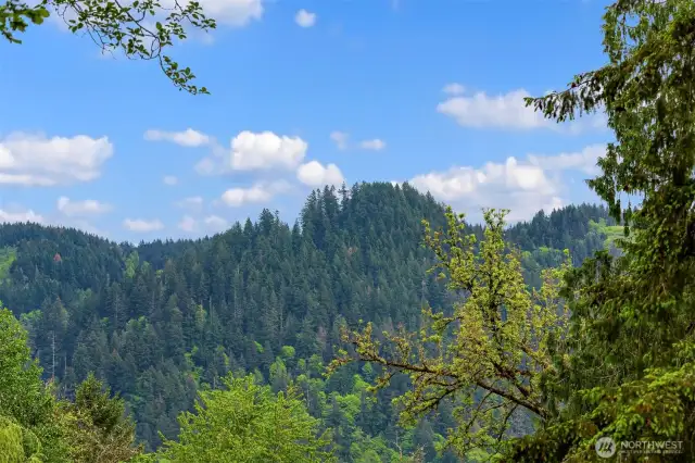 Perfect view of Pooh Pooh Point. Watch the sky divers from your back porch.